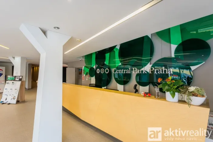 Pronájem bytu 1+kk, Praha - Žižkov, Pitterova, 38 m2