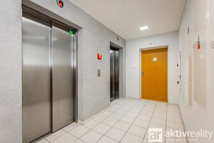 Pronájem bytu 1+kk, Praha - Žižkov, Pitterova, 38 m2