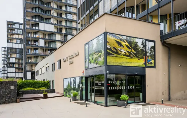 Pronájem bytu 1+kk, Praha - Žižkov, Pitterova, 38 m2