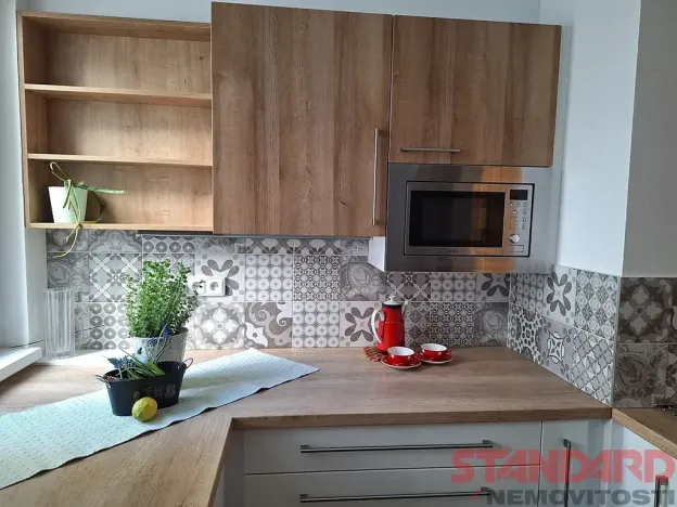 Pronájem bytu 1+1, Plzeň, Solní, 50 m2