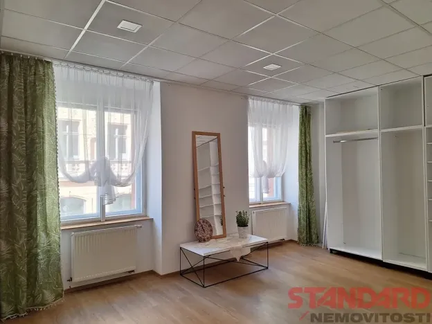 Pronájem bytu 1+1, Plzeň, Solní, 50 m2