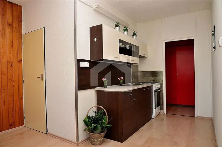 Pronájem bytu 3+1, České Budějovice - České Budějovice 2, Branišovská, 65 m2