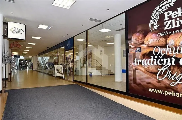 Pronájem restaurace, České Budějovice - České Budějovice 1, nám. Přemysla Otakara II., 96 m2