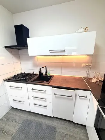 Pronájem bytu 1+1, Brno - Královo Pole, Hrubého, 42 m2