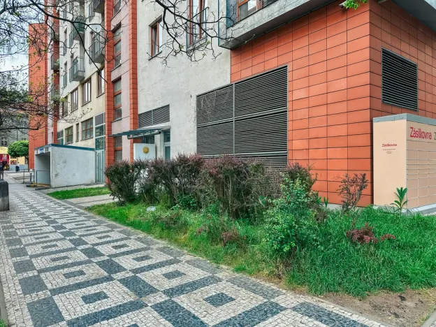Pronájem bytu 1+kk, Praha - Žižkov, Lukášova, 27 m2