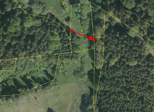 Prodej lesa, Horní Dvořiště, 1471 m2