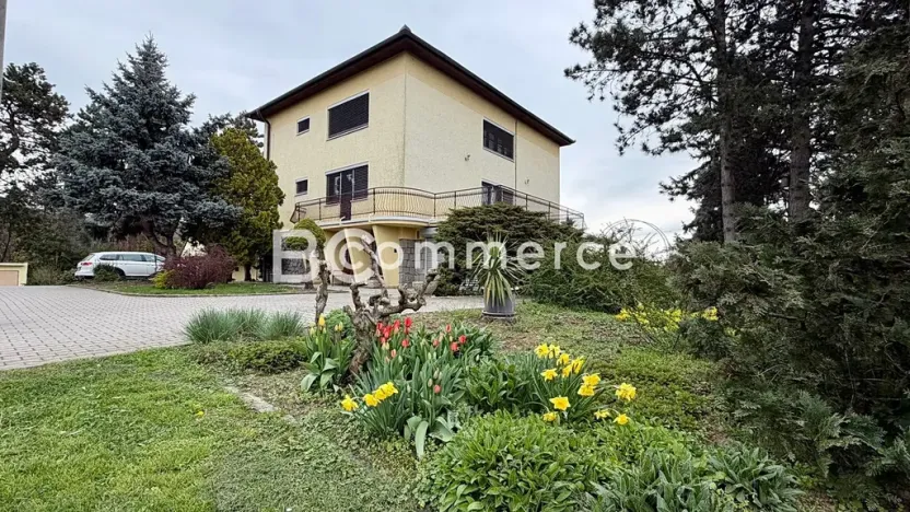 Prodej vily, Dolní Kounice, Zámecká, 270 m2