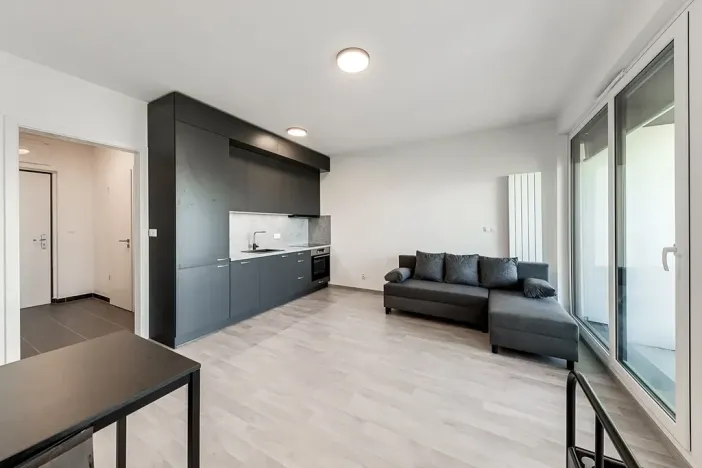 Pronájem bytu 1+kk, Praha - Žižkov, Olgy Havlové, 35 m2