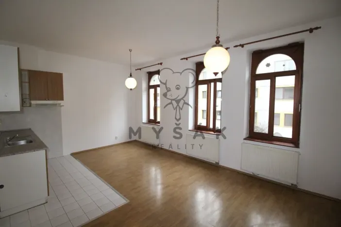 Pronájem bytu 2+kk, České Budějovice, Holečkova, 56 m2