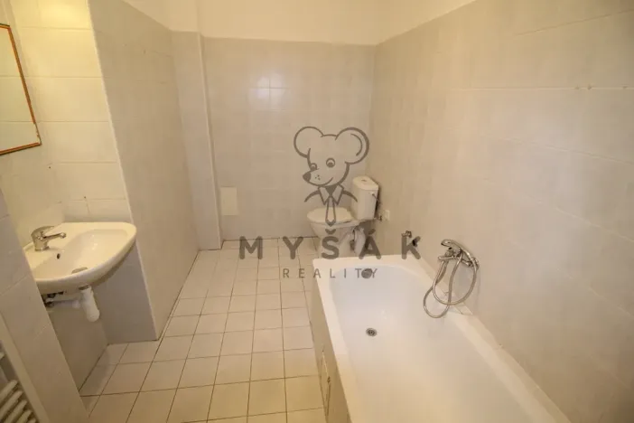 Pronájem bytu 2+kk, České Budějovice, Holečkova, 56 m2