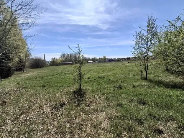 Prodej komerčního pozemku, Dalovice, 18373 m2
