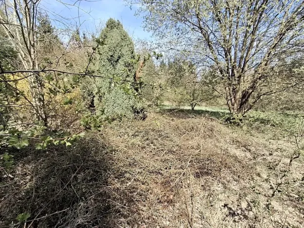 Prodej komerčního pozemku, Dalovice, 18373 m2