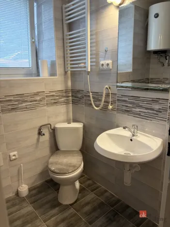 Pronájem bytu 1+1, Opava - Předměstí, Bezručovo náměstí, 30 m2