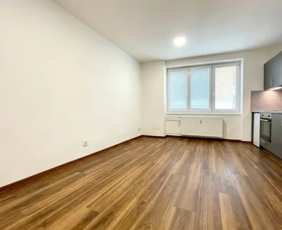Prodej bytu 1+kk, Lovosice, Sady pionýrů, 25 m2