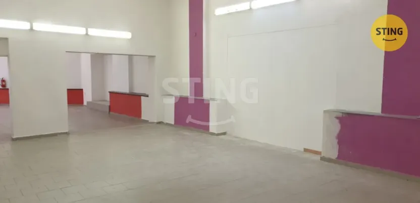 Pronájem obchodního prostoru, Opava, Lepařova, 400 m2