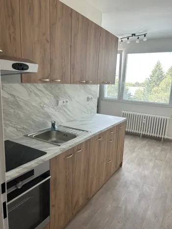 Prodej bytu 1+1, Lázně Bohdaneč, Na Lužci, 45 m2