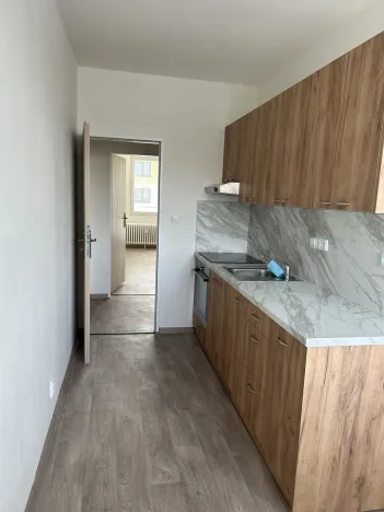 Prodej bytu 1+1, Lázně Bohdaneč, Na Lužci, 45 m2