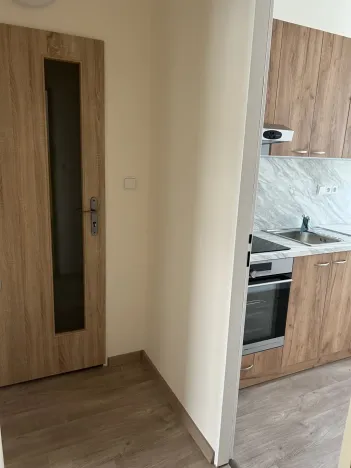 Prodej bytu 1+1, Lázně Bohdaneč, Na Lužci, 45 m2