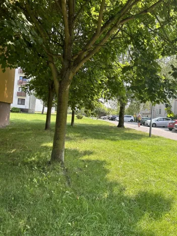 Prodej bytu 1+1, Lázně Bohdaneč, Na Lužci, 45 m2