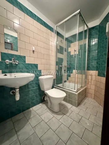 Pronájem bytu 2+kk, České Budějovice - České Budějovice 1, Krajinská, 51 m2