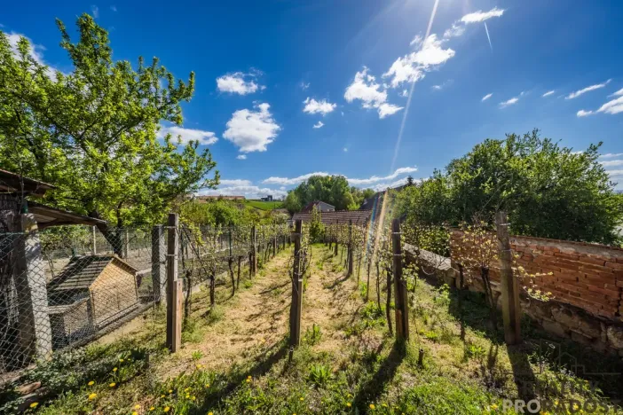 Prodej rodinného domu, Žeravice, 170 m2