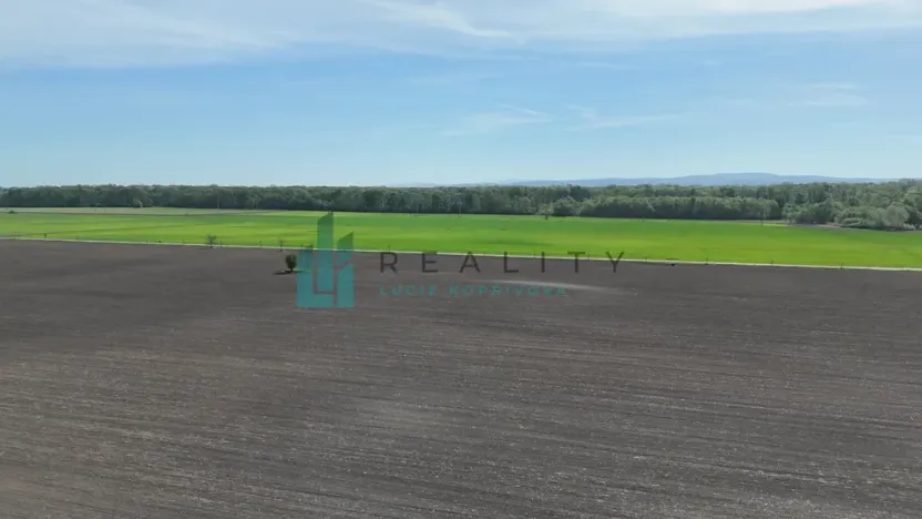 Prodej bytu 2+1, Hodonín, Jižní, 43 m2