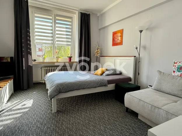 Pronájem bytu 1+1, Otrokovice, Mánesova, 35 m2