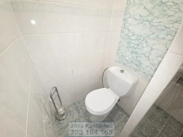 Pronájem bytu 1+1, Krnov - Pod Bezručovým vrchem, Albrechtická, 28 m2