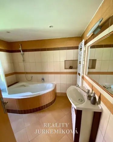 Pronájem rodinného domu, Planá, 90 m2