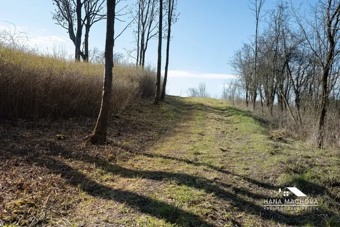 Prodej pozemku pro bydlení, Kopidlno, Na Vinici, 8371 m2