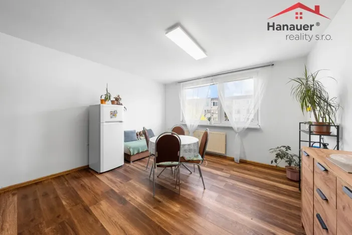 Prodej bytu 2+kk, Děčín - Děčín XXXII-Boletice nad Labem, Čsl. partyzánů, 42 m2