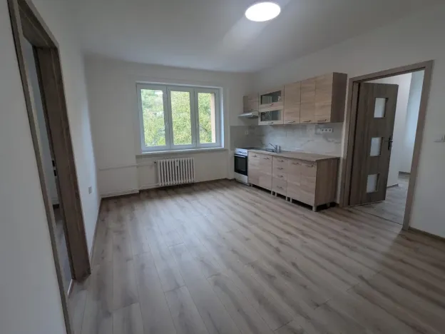 Pronájem bytu 2+kk, Ústí nad Labem - Neštěmice, Mlýnská, 53 m2