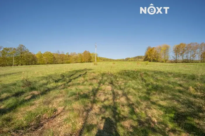 Prodej pozemku pro bydlení, Velké Losiny, 1856 m2