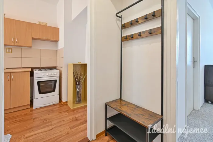 Pronájem bytu 2+1, Brno, Lužná, 55 m2
