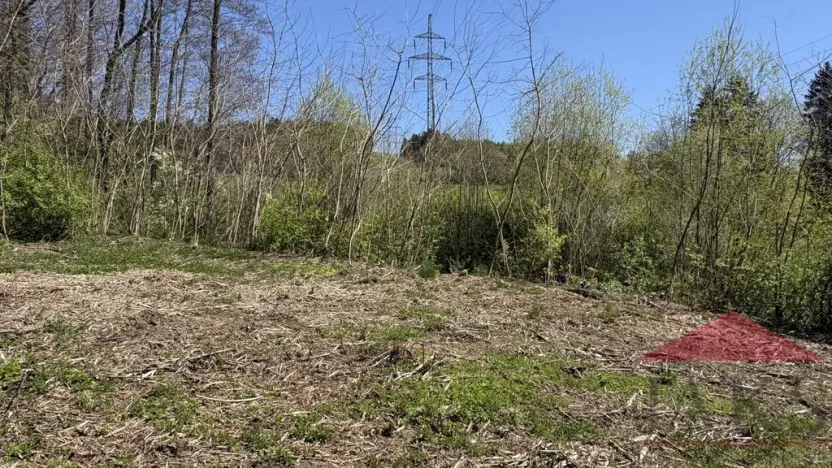 Prodej louky, Sušice, 1971 m2