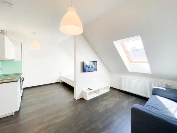 Pronájem bytu 1+kk, Praha - Žižkov, Bořivojova, 35 m2