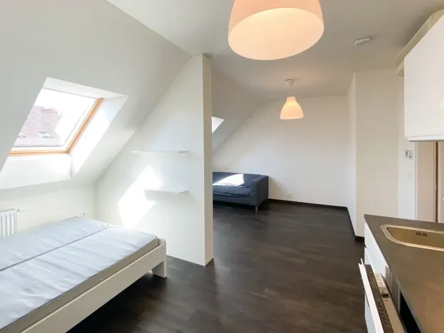 Pronájem bytu 1+kk, Praha - Žižkov, Bořivojova, 35 m2