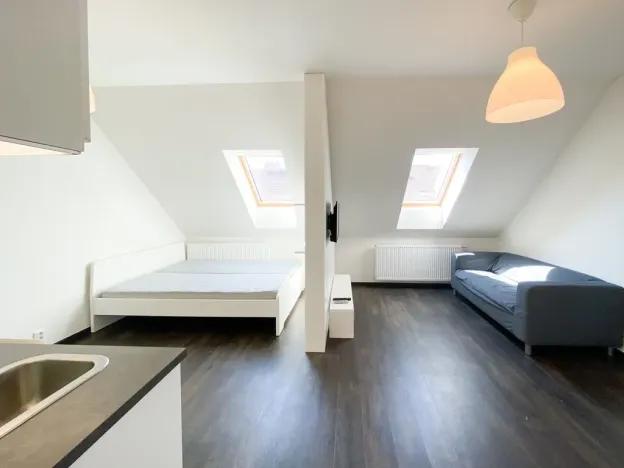 Pronájem bytu 1+kk, Praha - Žižkov, Bořivojova, 35 m2