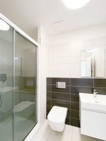 Pronájem bytu 1+kk, Praha - Žižkov, Bořivojova, 35 m2