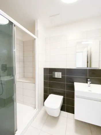 Pronájem bytu 1+kk, Praha - Žižkov, Bořivojova, 35 m2