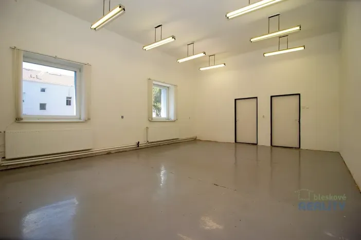 Pronájem skladu, Brandýs nad Labem-Stará Boleslav, Pražská, 45 m2
