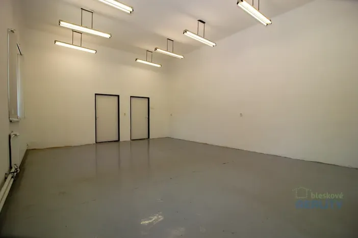 Pronájem skladu, Brandýs nad Labem-Stará Boleslav, Pražská, 45 m2