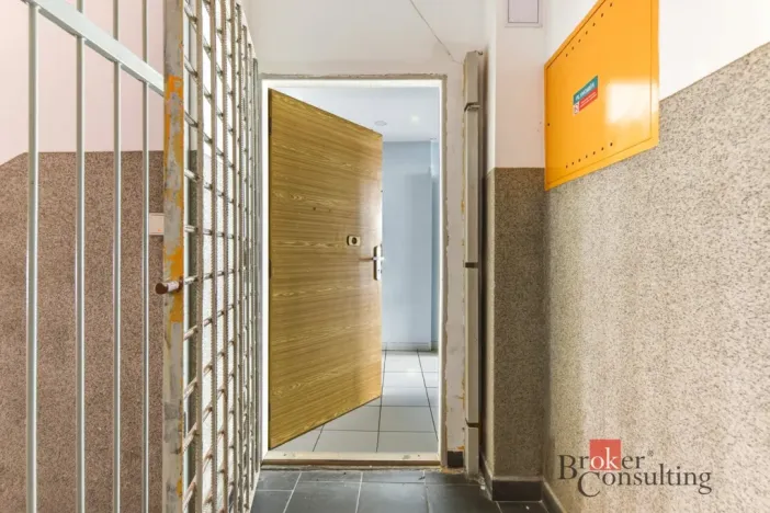 Prodej bytu 2+kk, Praha - Žižkov, Hartigova, 53 m2