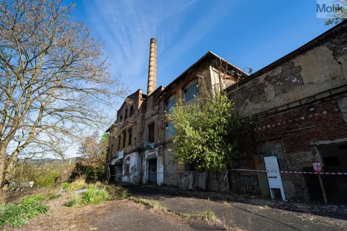 Prodej komerční nemovitosti, Povrly - Neštědice, Pod Kozákem, 35000 m2