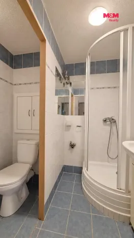 Pronájem bytu 1+kk, Hradec Králové - Pražské Předměstí, Hrubínova, 35 m2