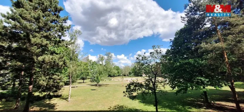 Pronájem bytu 3+1, Hradec Králové - Slezské Předměstí, Severní, 65 m2