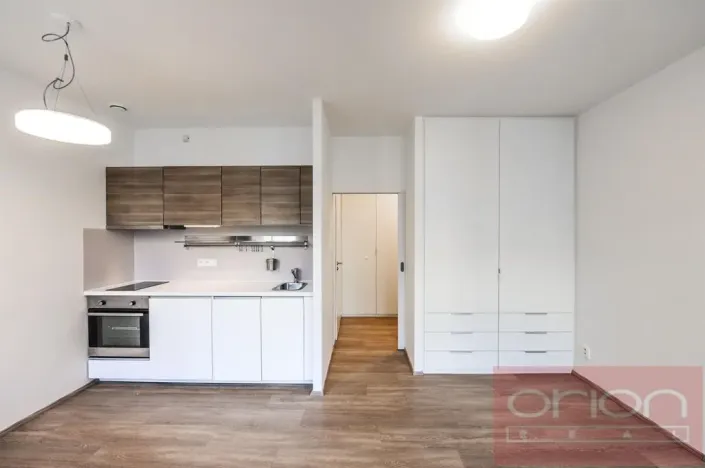 Pronájem bytu 1+kk, Praha - Vinohrady, Lucemburská, 300 m2