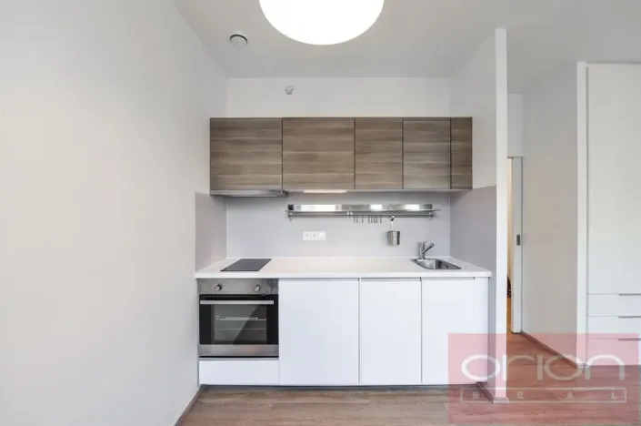 Pronájem bytu 1+kk, Praha - Vinohrady, Lucemburská, 300 m2