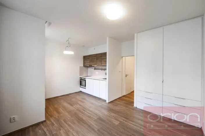 Pronájem bytu 1+kk, Praha - Vinohrady, Lucemburská, 300 m2
