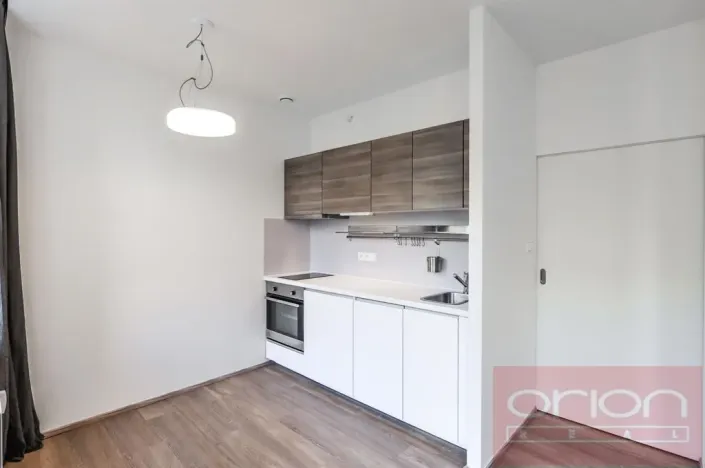 Pronájem bytu 1+kk, Praha - Vinohrady, Lucemburská, 300 m2